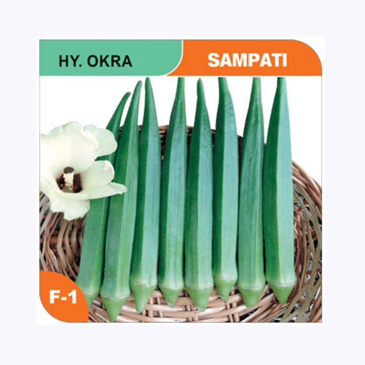 Okra Sampati 318 Bhindi seeds
