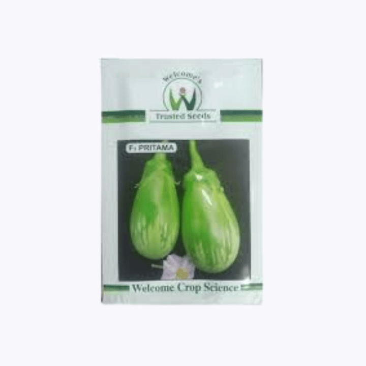 Purushottama F1 Brinjal Seeds