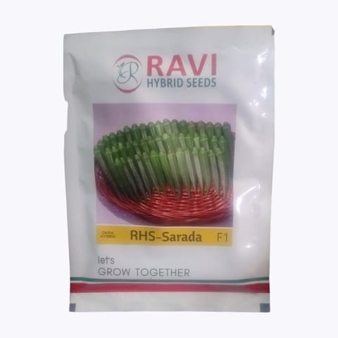 రవి RHS శారద భిండి విత్తనాలు