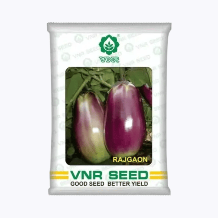 VNR Rajgaon Brinjal Seeds