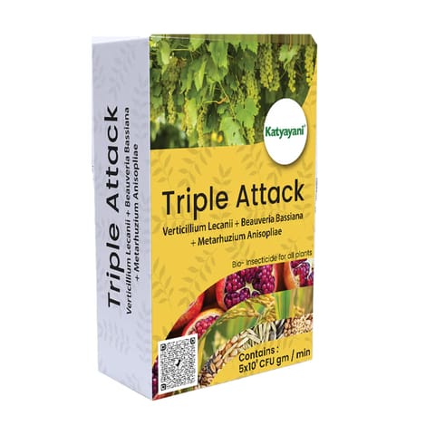 Katyayani Triple Attack (VBM – Verticillium Lecanii + Beauveria Bassiana + Metarhizium Anisopliae Bio pesticide)