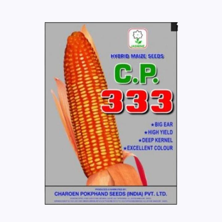 CP సీడ్స్ మొక్కజొన్న 333 హైబ్రిడ్