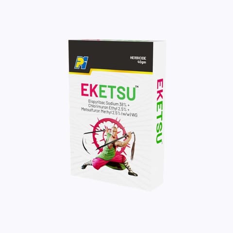 PI Eketsu Insecticide