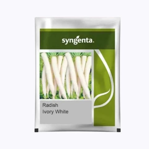Syngenta Radish Lvory White Seeds