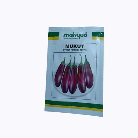 Mahyco Mukut Hybrid Brinjal Seeds
