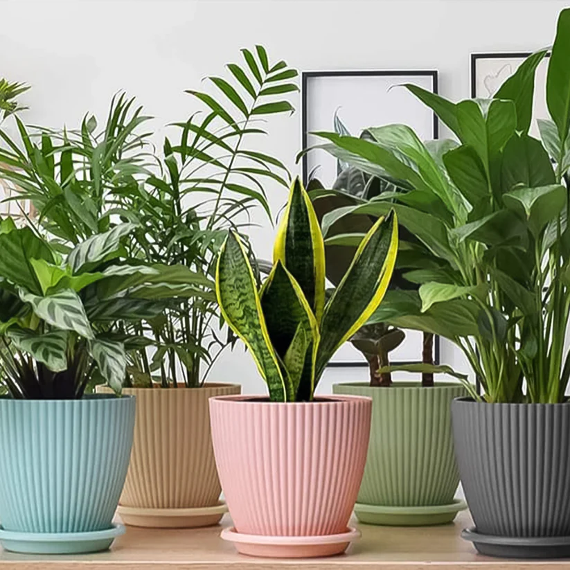 Plastic Flower Pot with Bottom Tray – main view