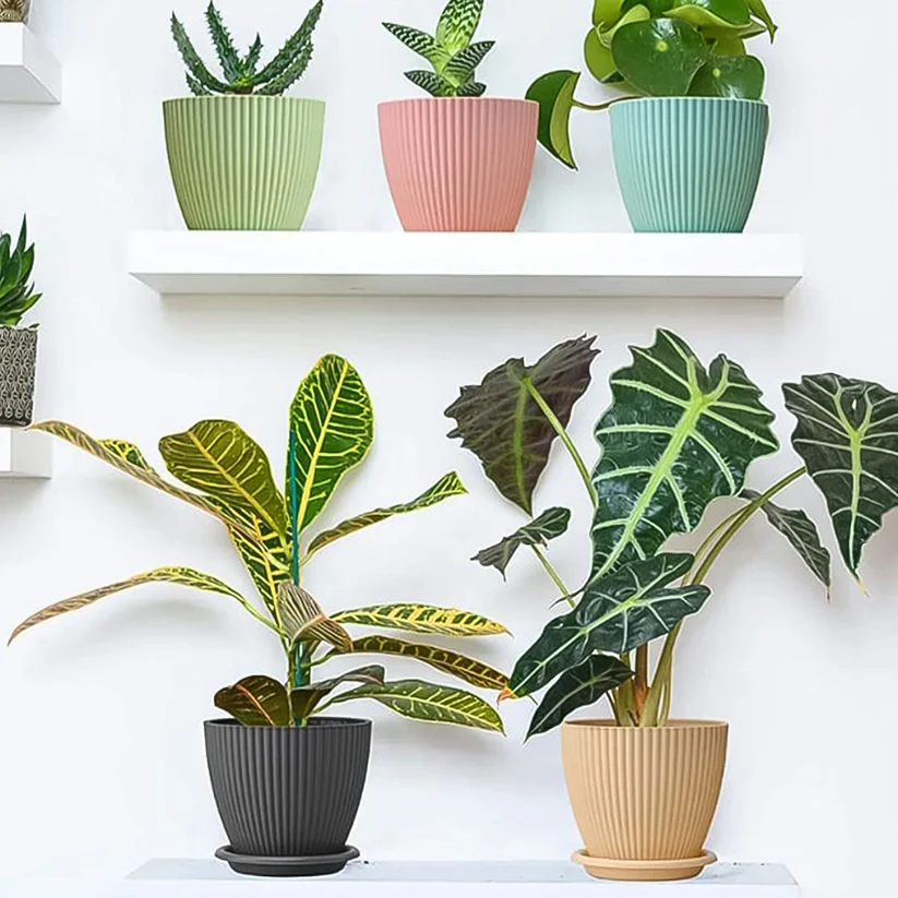 Plastic Flower Pot with Bottom Tray – thumb