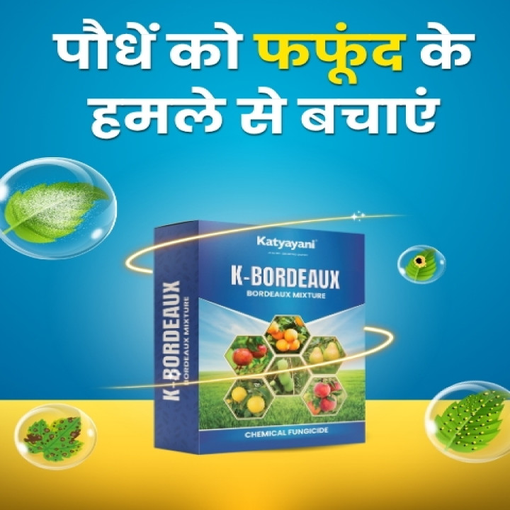 Katyayani Bordeaux Mixture Fungicide