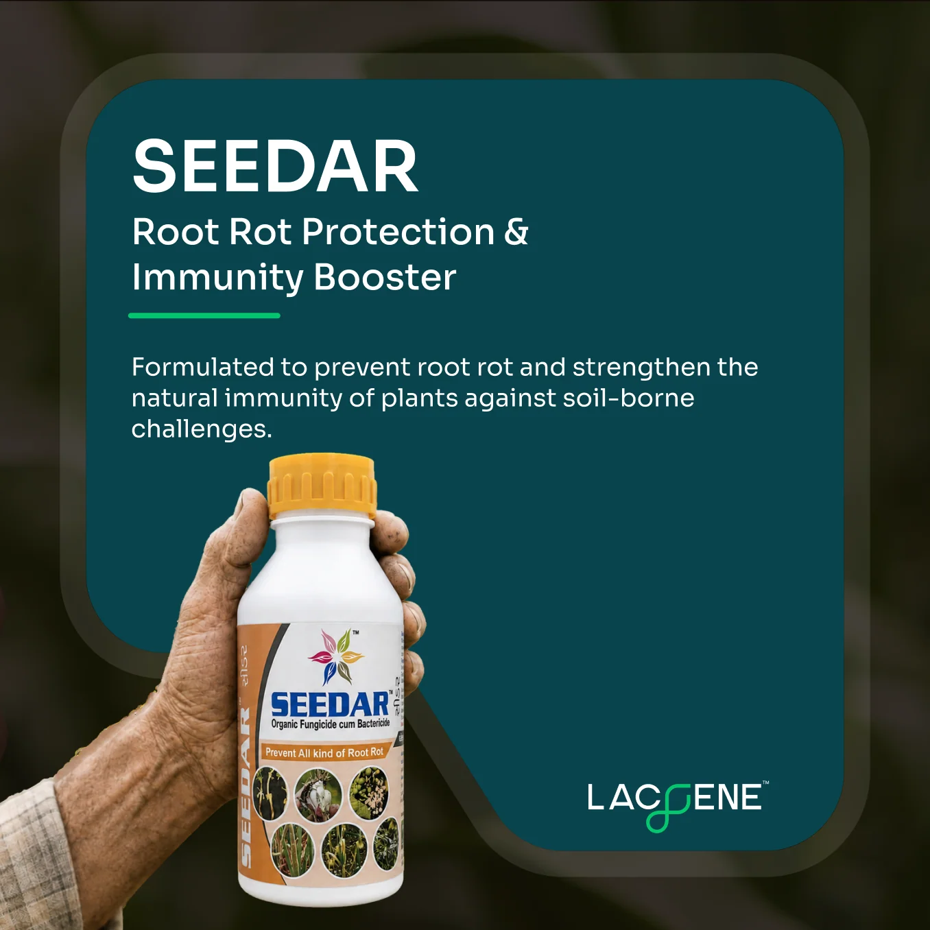 Lacgene Seedar Organic Fungicide cum Bactericide for Root-Rot Management - image 2 of 8