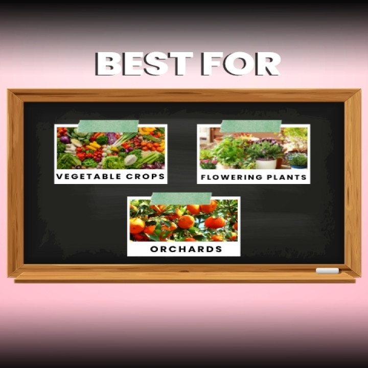 Katyayani Flowering Fertilizer Booster – thumb