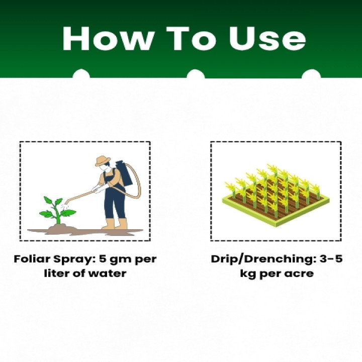 Katyayani NPK 00:52:34 Fertilizer – thumb