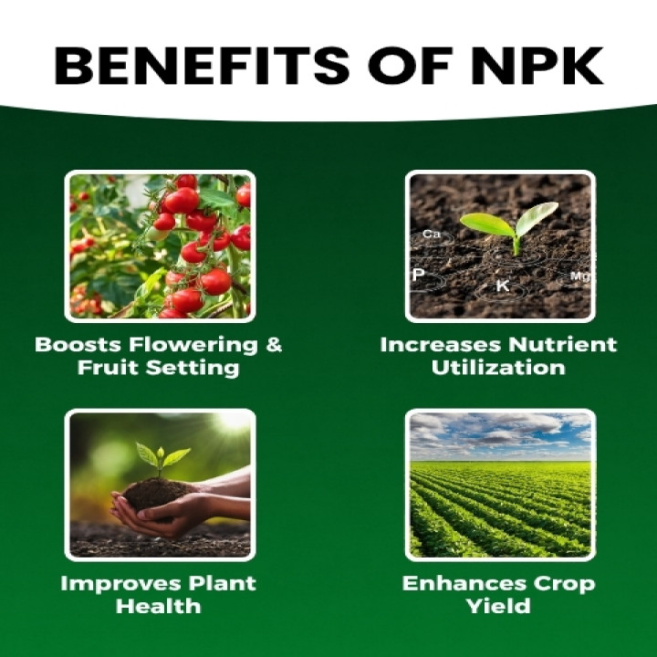 Katyayani NPK 00:52:34 Fertilizer – thumb