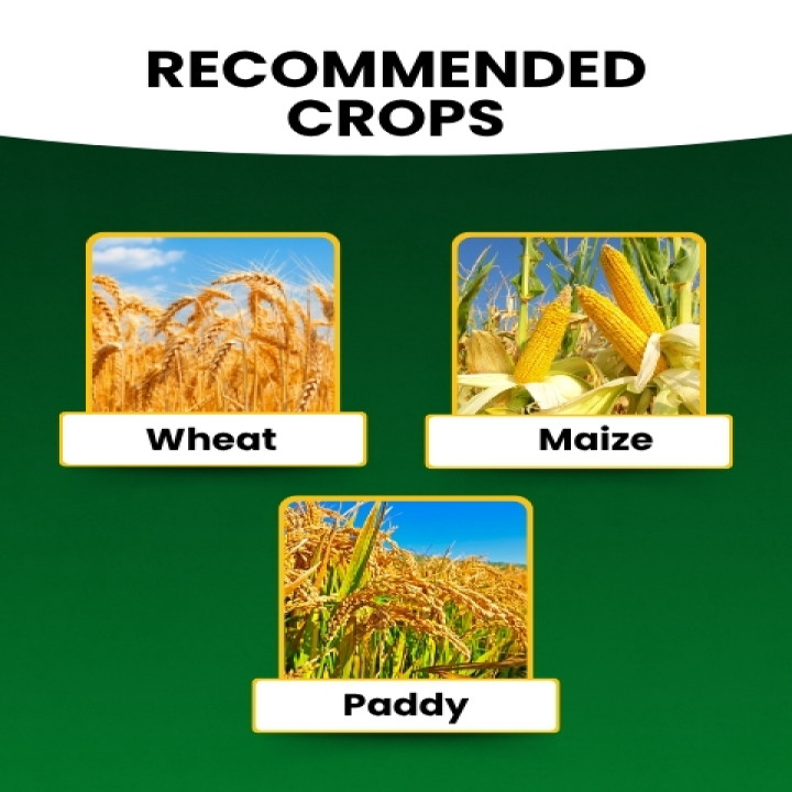 Katyayani NPK 00:52:34 Fertilizer – thumb