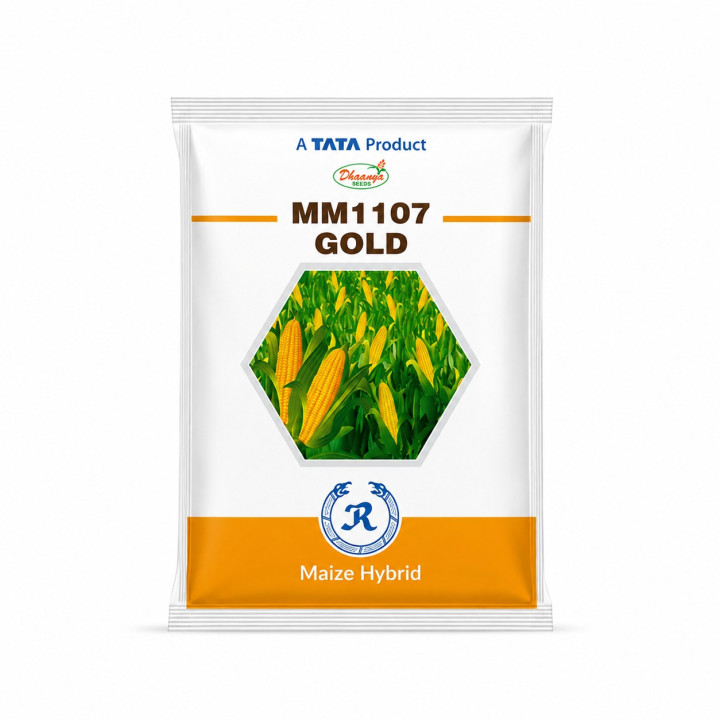Tata 1107 Gold Corn Seeds