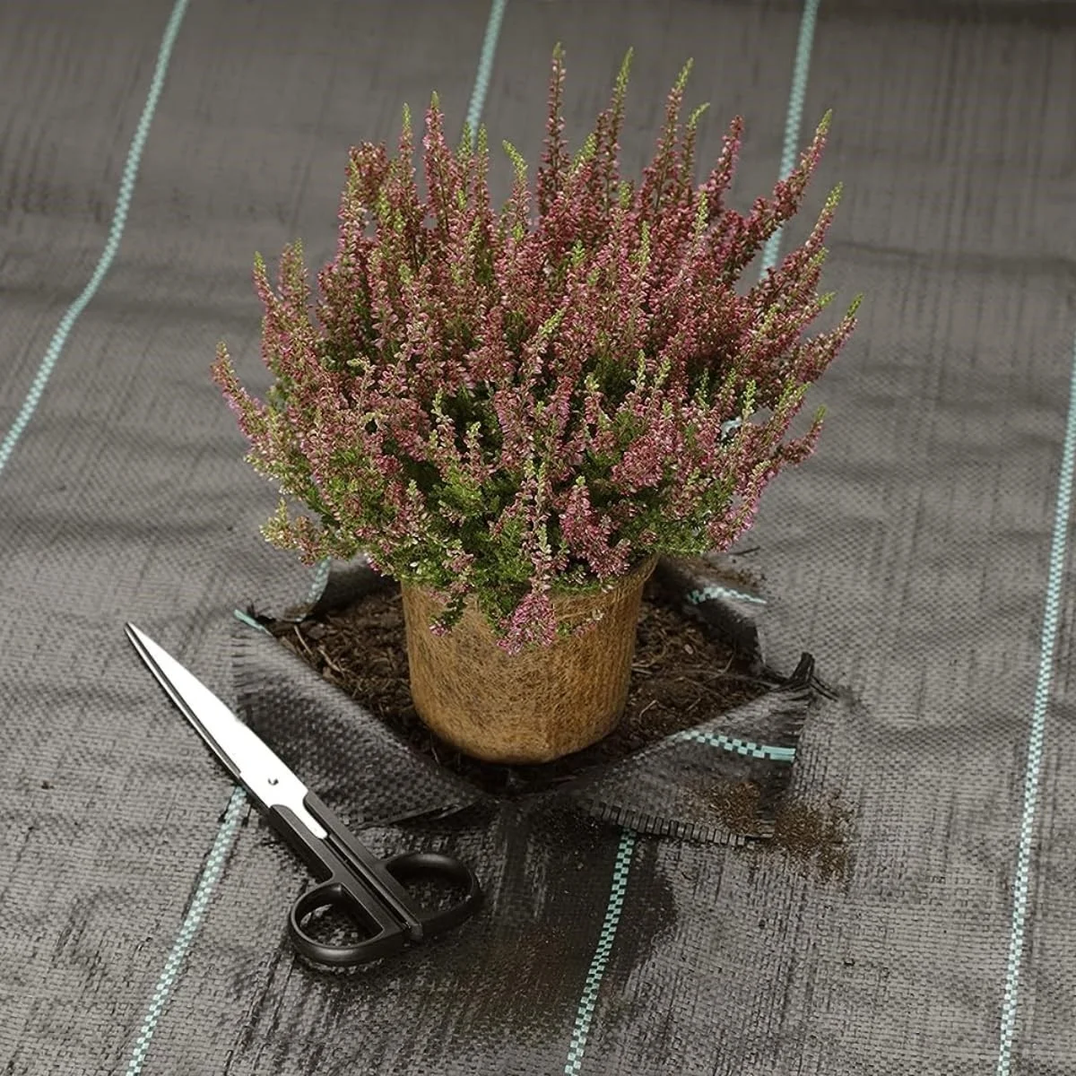 Singhal Garden Weed Control Mat Heavy Black Landscape Fabric – thumb