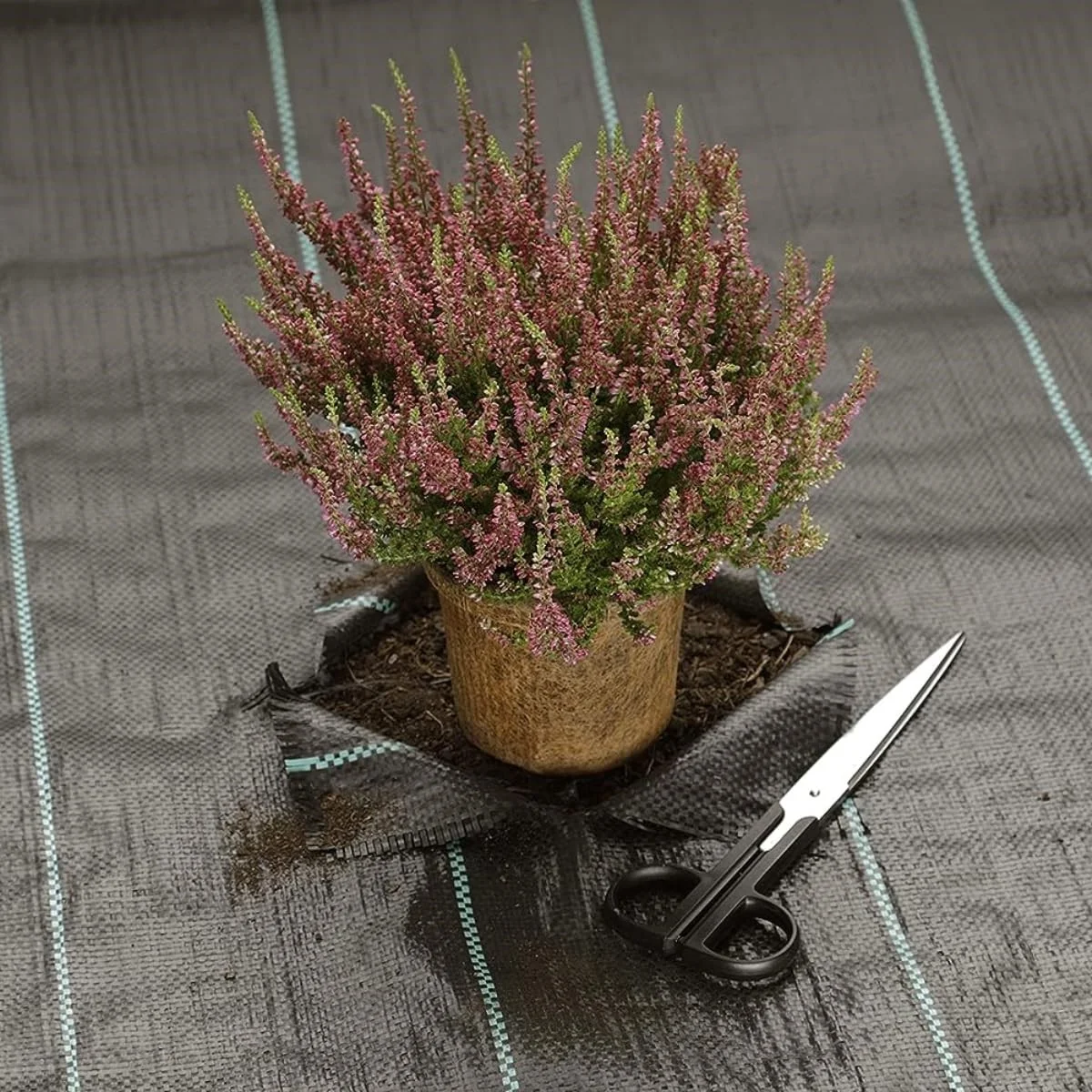 Singhal Garden Weed Control Mat Heavy Duty 90 GSM Landscape Fabric (Black) – thumb