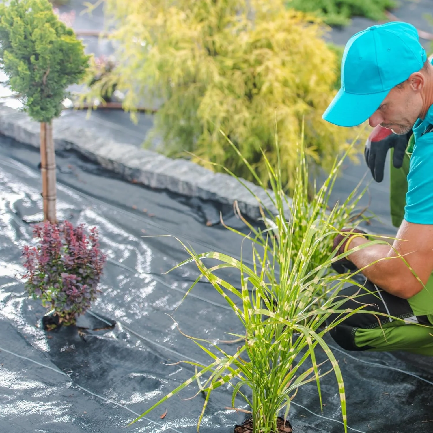 Singhal Weed Control Barrier Sheet – 100 GSM Landscape Fabric (0.60m x 20m) – thumb