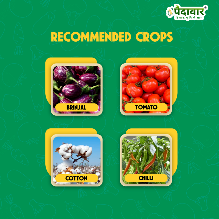 Paidavaar Sate 404 Profenophos 40% + Cypermethrin 4% EC Insecticide – thumb