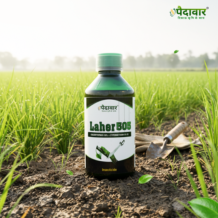 Paidavaar Laher 505 Chlorpyriphos 50% + Cypermethrin 5% EC Insecticide – thumb