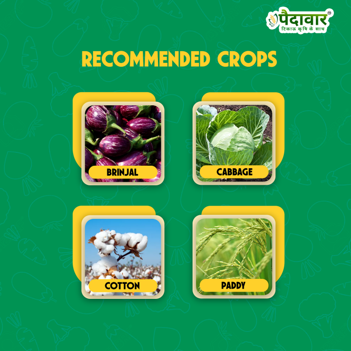 Paidavaar Laher 505 Chlorpyriphos 50% + Cypermethrin 5% EC Insecticide – thumb