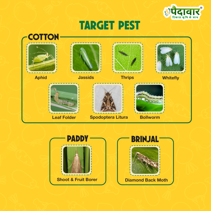 Paidavaar Laher 505 Chlorpyriphos 50% + Cypermethrin 5% EC Insecticide – thumb