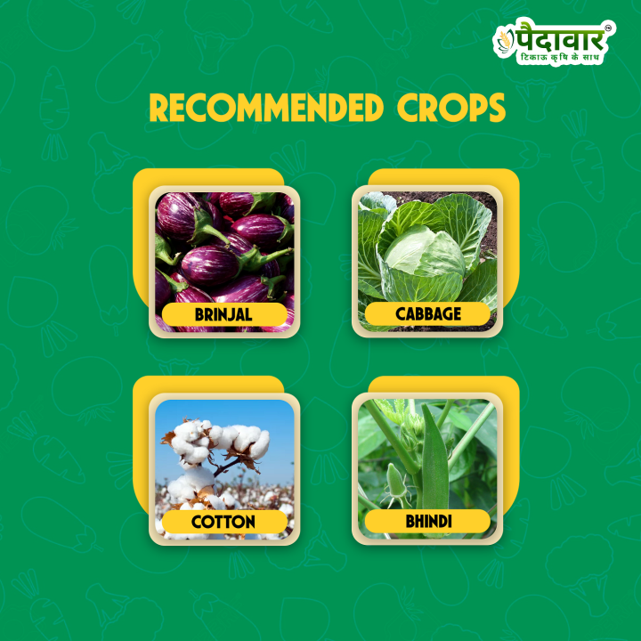 Paidavaar Cyper 25 Cypermethrin 25% EC Insecticide – thumb