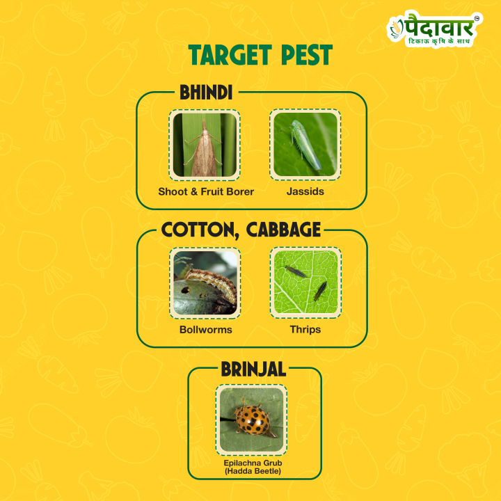 Paidavaar Cyper 25 Cypermethrin 25% EC Insecticide – thumb