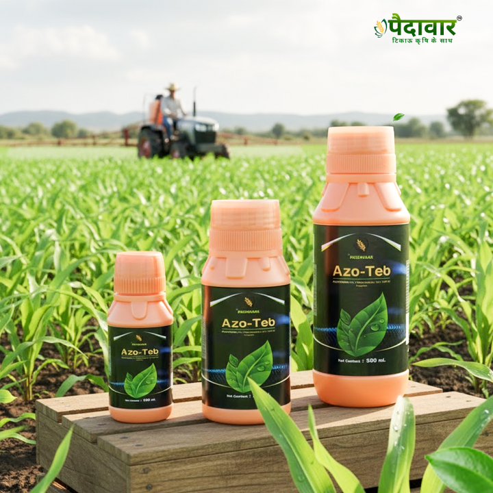 Paidavaar Azo-Teb Azoxystrobin 11% + Tebuconazole 18.3% SC Fungicide – thumb