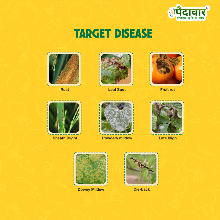 Paidavaar Azo-Teb Azoxystrobin 11% + Tebuconazole 18.3% SC Fungicide – thumb