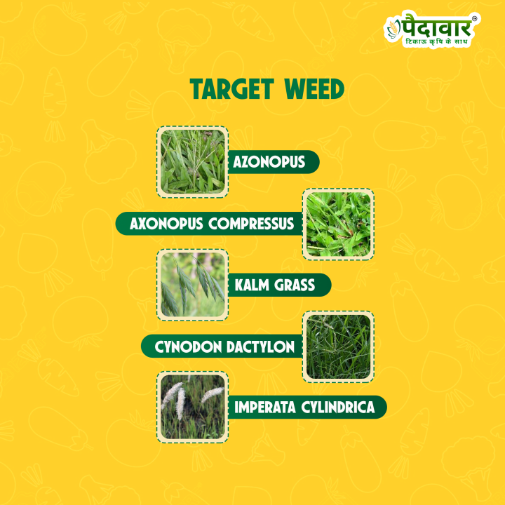 Paidavaar Advance-41 Glyphosate 41% SL Herbicide – thumb