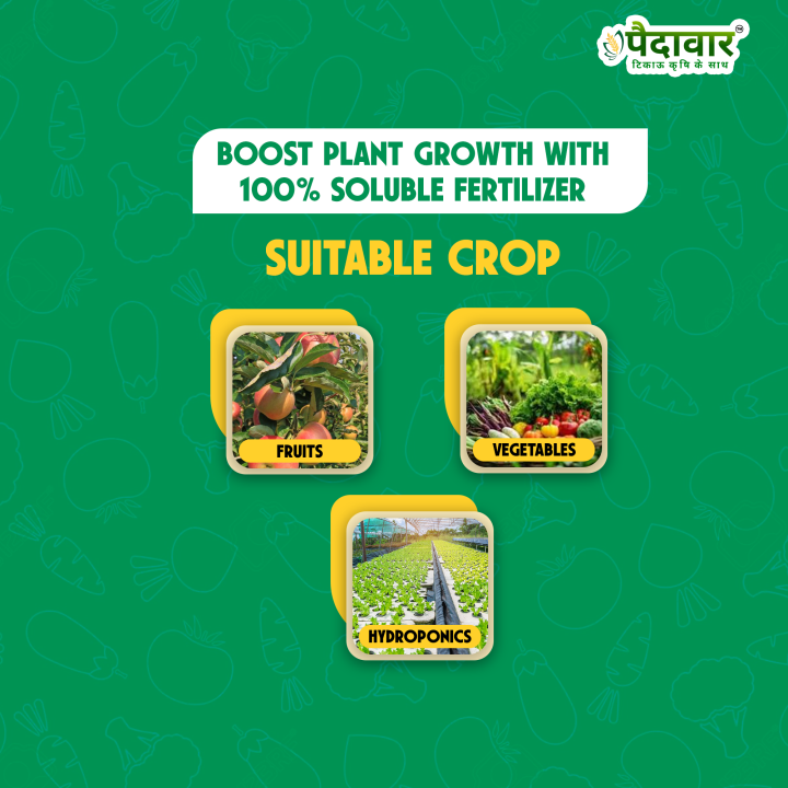 Paidavaar Calcium Nitrate (Ca 18.8% + N 15.5%) Water Soluble Fertilizer – thumb