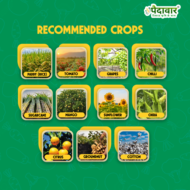 Paidavaar ShieldPro Imidacloprid 17.8% SL Insecticide – thumb