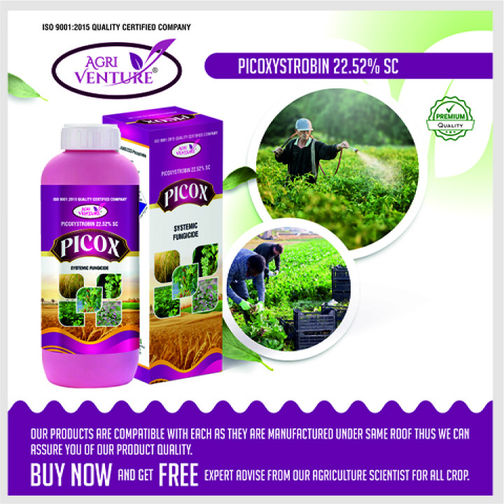 AgriVenture Picox Picoxystrobin 22.52% SC Fungicide – thumb