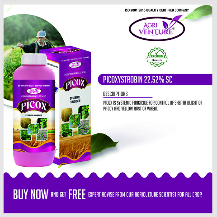 AgriVenture Picox Picoxystrobin 22.52% SC Fungicide – thumb