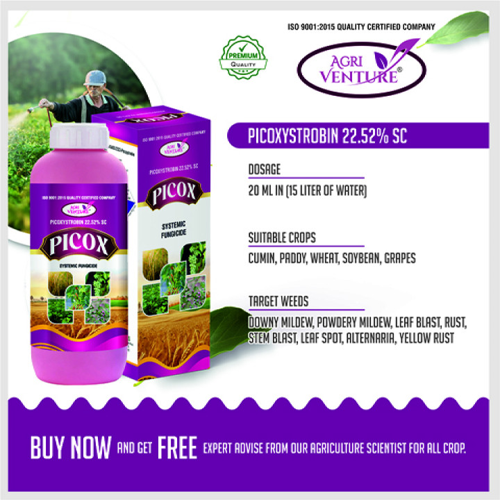 AgriVenture Picox Picoxystrobin 22.52% SC Fungicide – thumb
