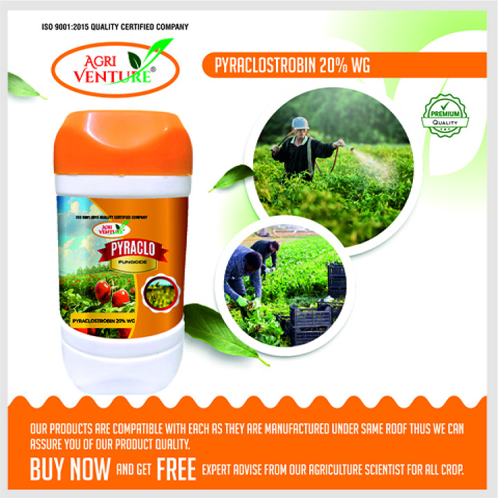 AgriVenture Pyraclo Pyraclostrobin 20% WG Fungicide – thumb