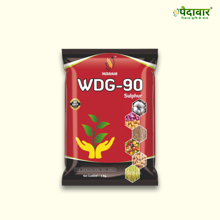 Paidavaar Sulphur 90% WDG Fertilizer – thumb