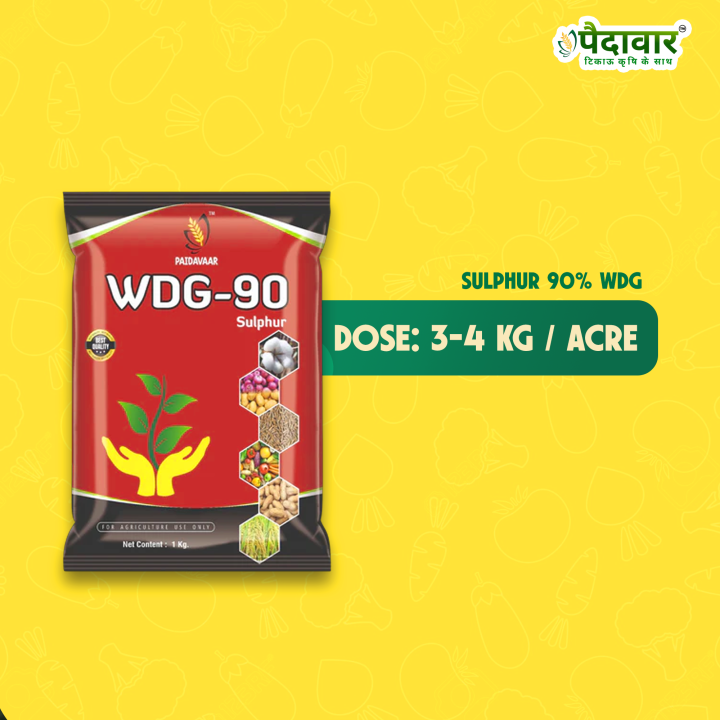 Paidavaar Sulphur 90% WDG Fertilizer – thumb