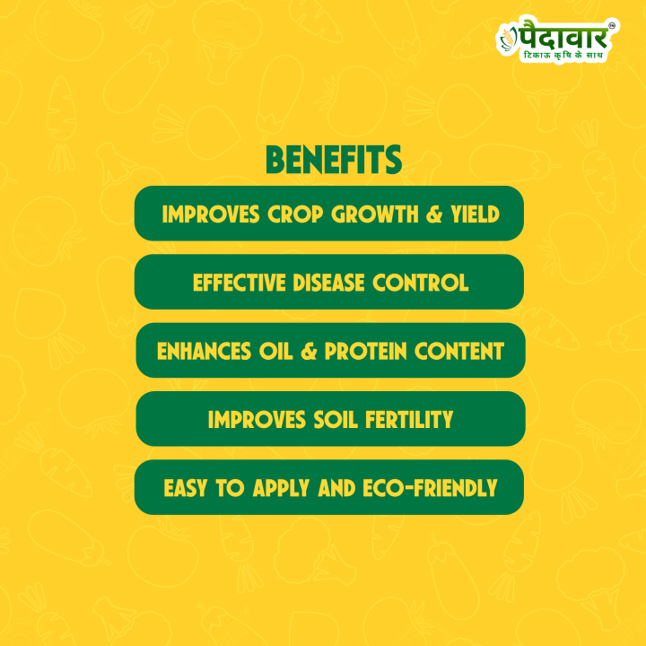 Paidavaar Sulphur 90% WDG Fertilizer – thumb
