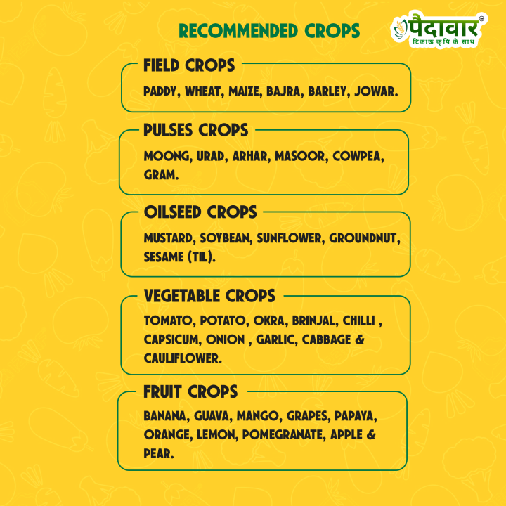 Paidavaar Zinc Sulphate 33% Micro Nutrient Fertilizer – thumb