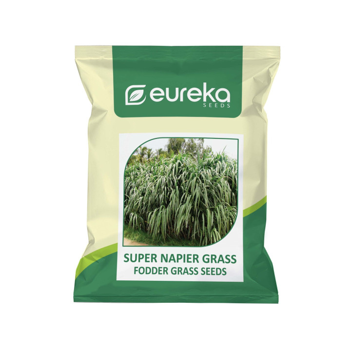 Eureka Seeds Super Napier Grass Hybrid Fodder Seeds