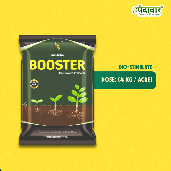 Paidavaar Booster Plant Growth Promoter – thumb