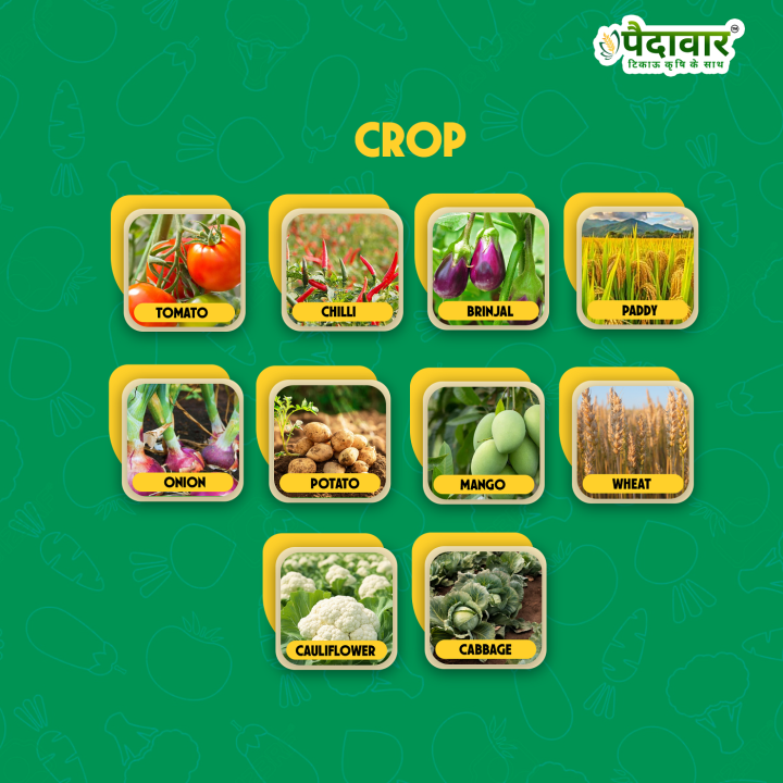 Paidavaar Booster Plant Growth Promoter – thumb