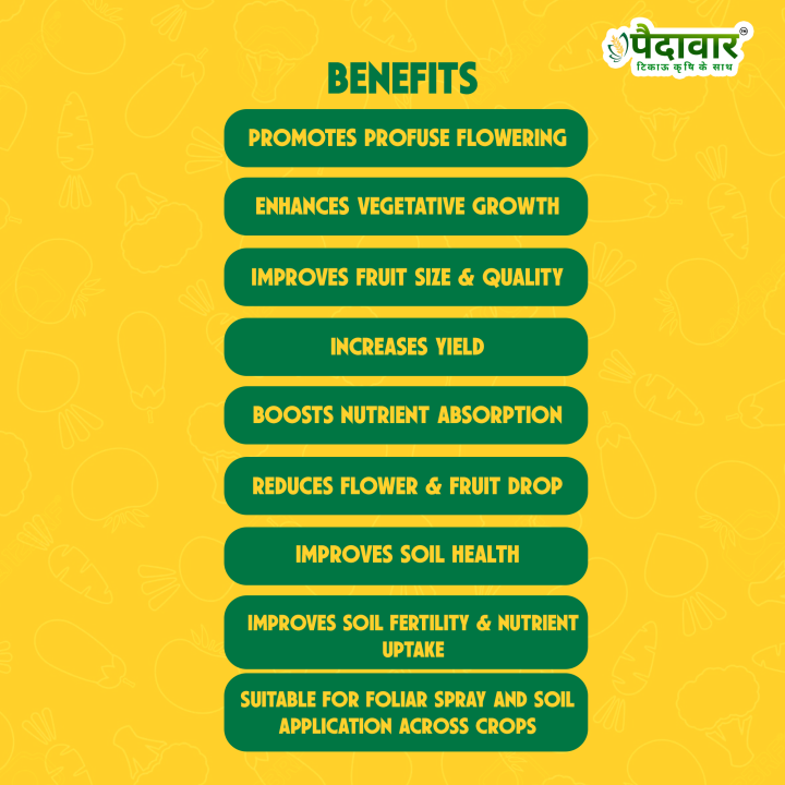 Paidavaar Booster Plant Growth Promoter – thumb
