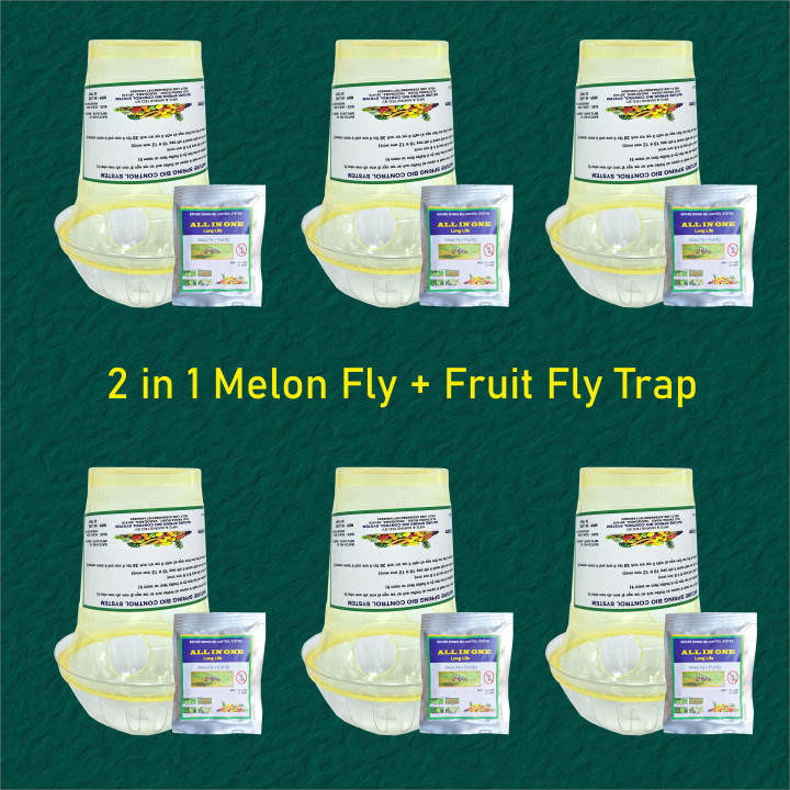2 in 1 Melon Fly and Fruit Fly Trap with Lure for Pests, Flies and Insects (Pack of 6) – thumb