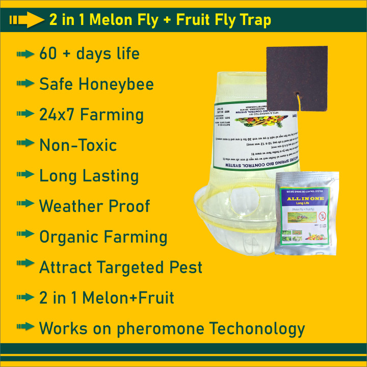 2 in 1 Melon Fly and Fruit Fly Trap with Lure for Pests, Flies and Insects (Pack of 6) – thumb