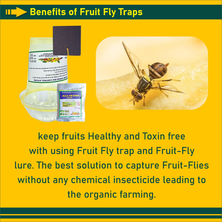 2 in 1 Melon Fly and Fruit Fly Trap with Lure for Pests, Flies and Insects (Pack of 6) – thumb