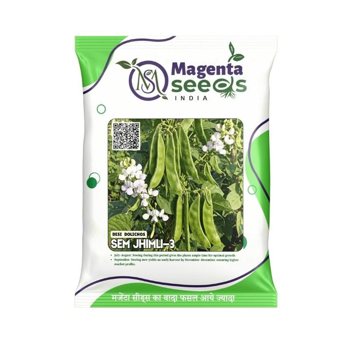 Magenta Seeds Sem Jhimli Dolichos Bean Seeds