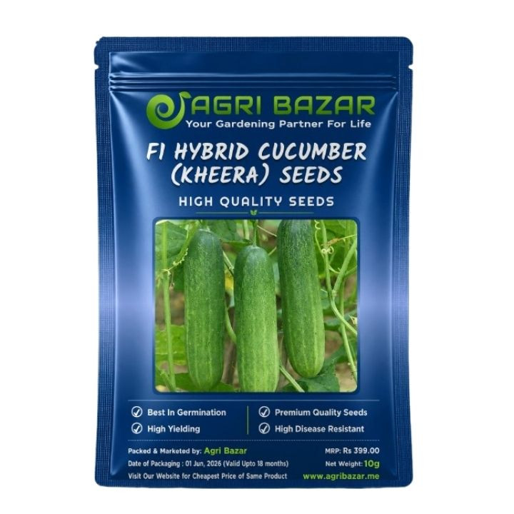 Agri Bazar Hybrid Cucumber (Kheera) Seeds