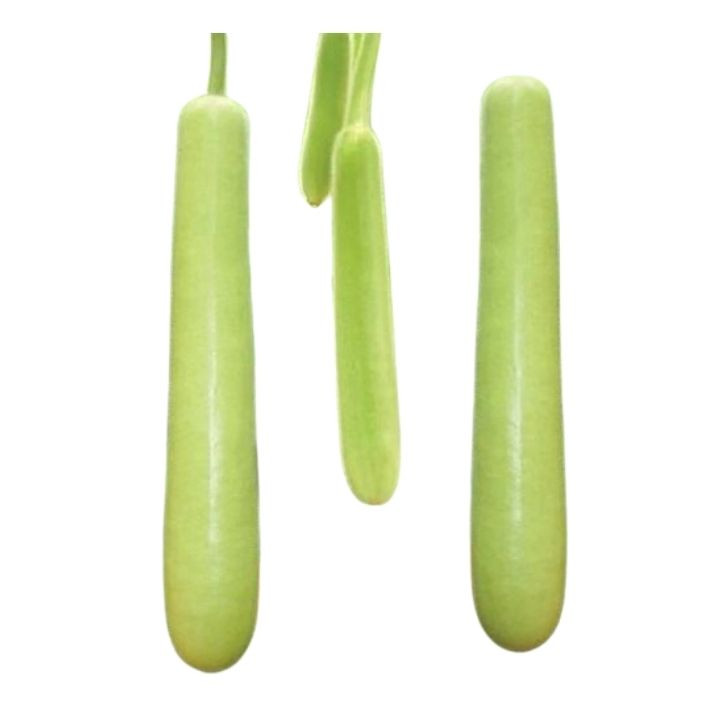 Agri Bazar Long Bottle Gourd (Lauki / Ghiya) Hybrid Seeds – thumb